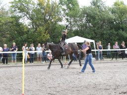 IMG_1383_web
